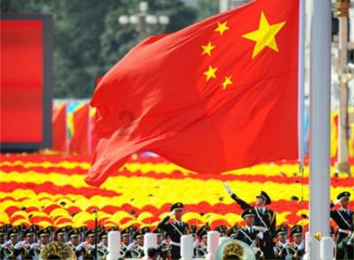 五彩鹦鹉救援